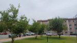 IMG-20241202-WA0024